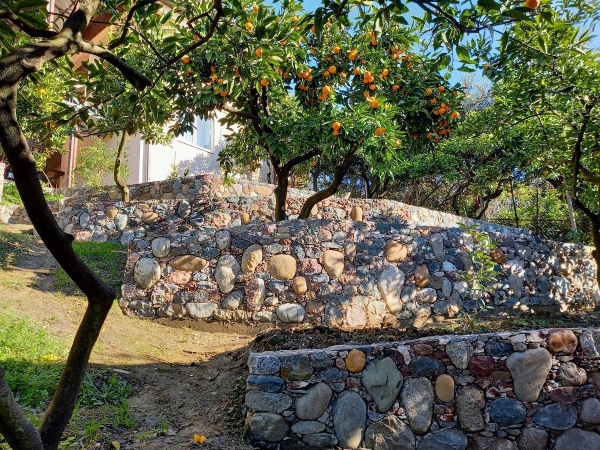 Samida Hotel New Athos Buitenkant foto