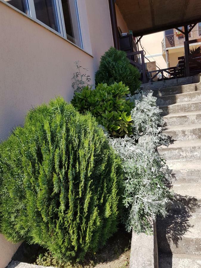 Samida Hotel New Athos Buitenkant foto